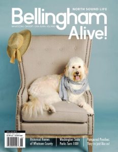 Bellingham Alive Cover 2013